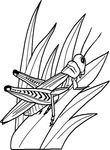 coloriage Insectes