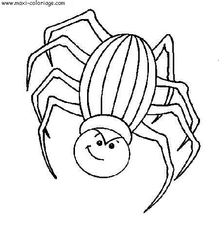 coloriage Araignees