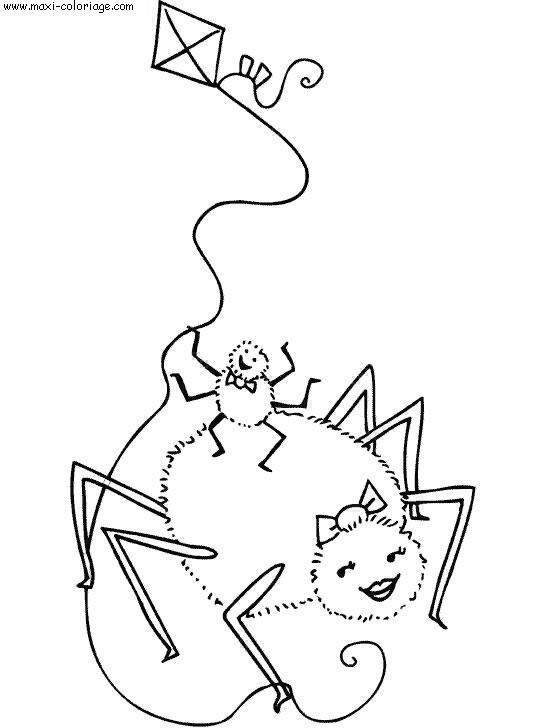 coloriage Araignees