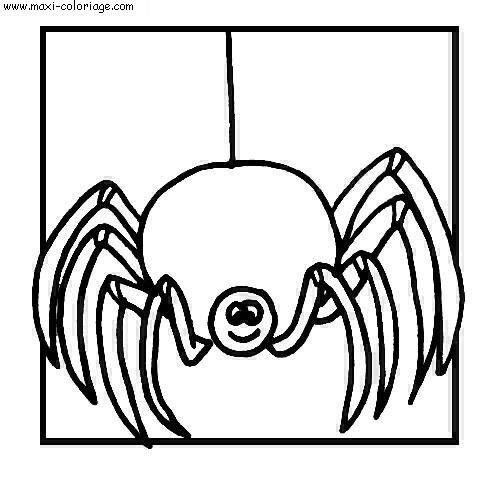 coloriage Araignees