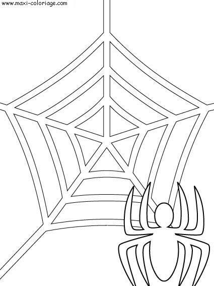 coloriage Araignees