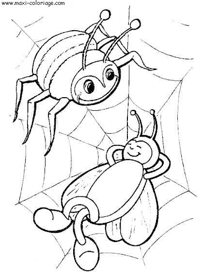 coloriage Araignees