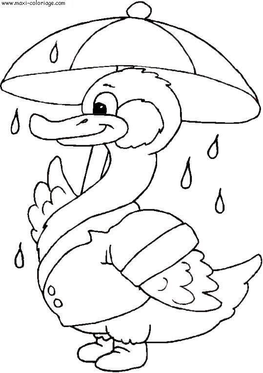 coloriage Canards