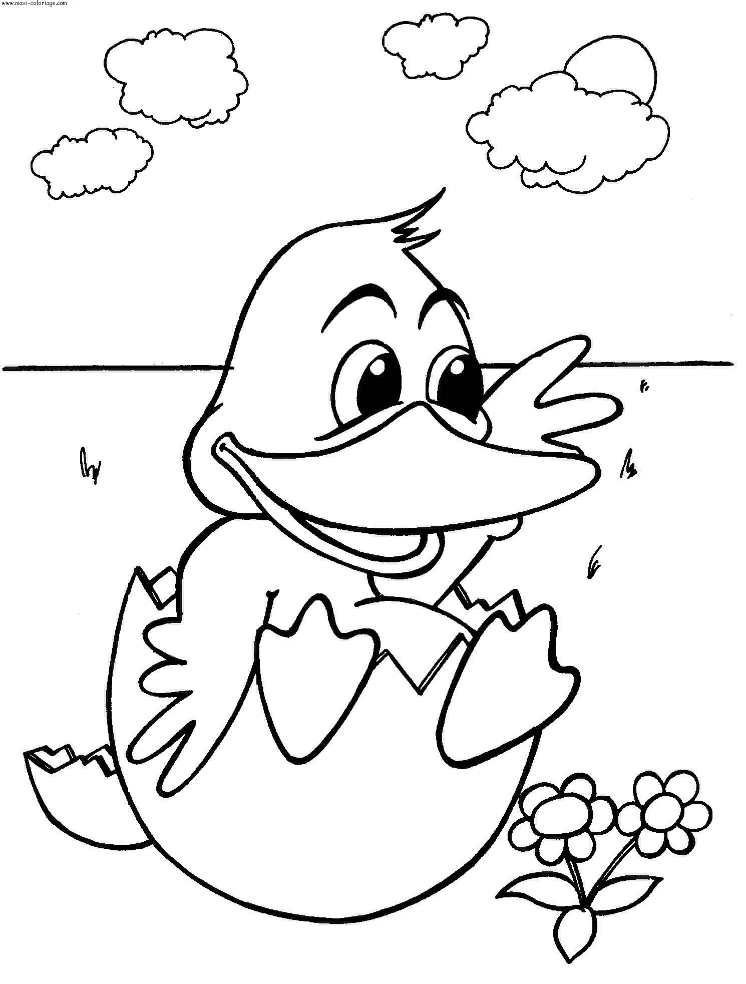 coloriage Canards