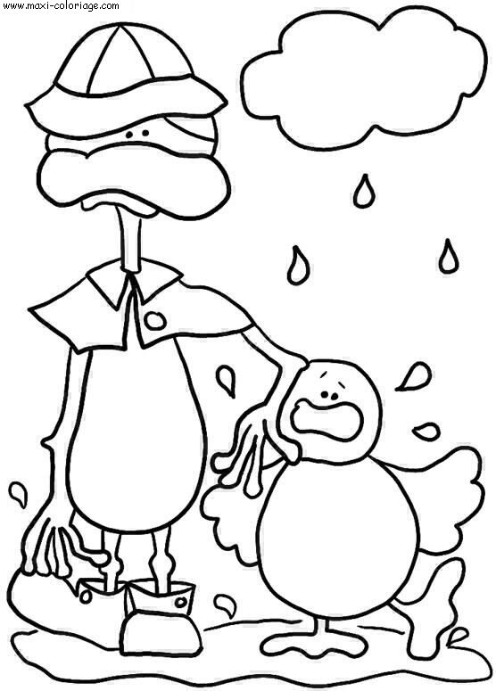 coloriage Canards