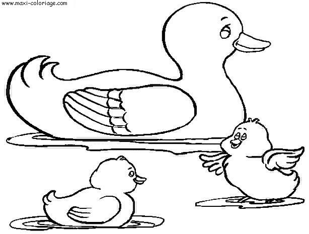 coloriage Canards