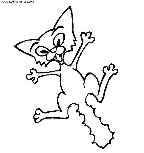 coloriage Chats