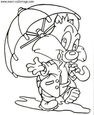 coloriage Chats