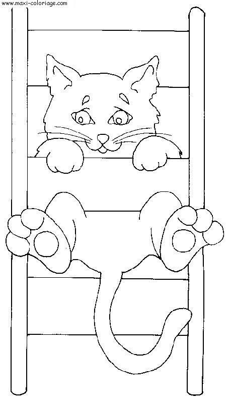 coloriage Chats