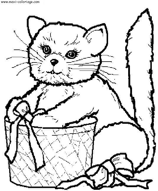 L'image “http://www.maxi-coloriage.com/coloriage-dessin/animaux/chats_025.jpg” ne peut être affichée car elle contient des erreurs.