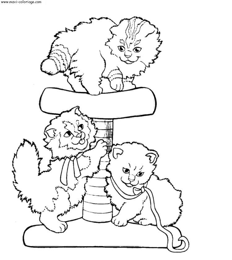 L'image “http://www.maxi-coloriage.com/coloriage-dessin/animaux/chats_033.jpg” ne peut être affichée car elle contient des erreurs.