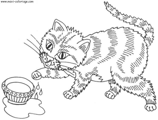 coloriage Chats