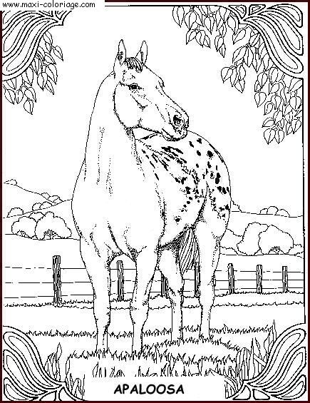 coloriage Chevaux