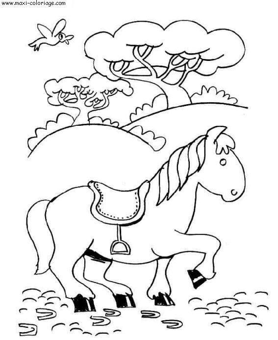 coloriage Chevaux