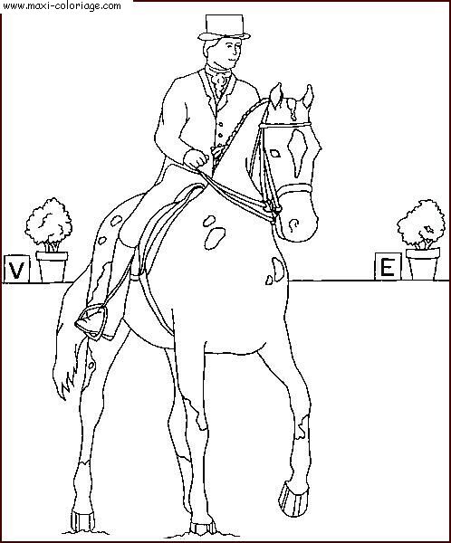 coloriage Chevaux
