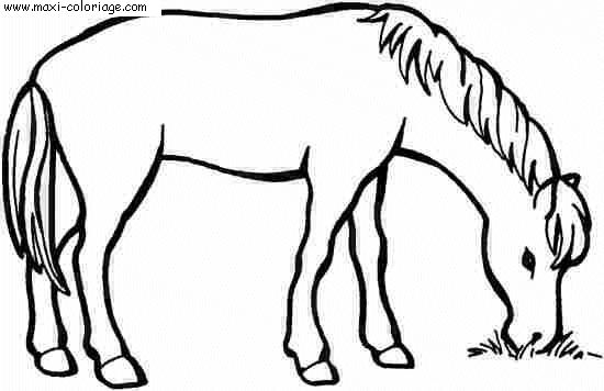 coloriage Chevaux