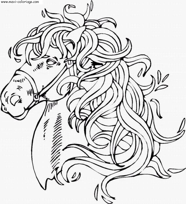 coloriage Chevaux