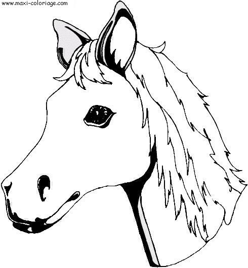 coloriage Chevaux