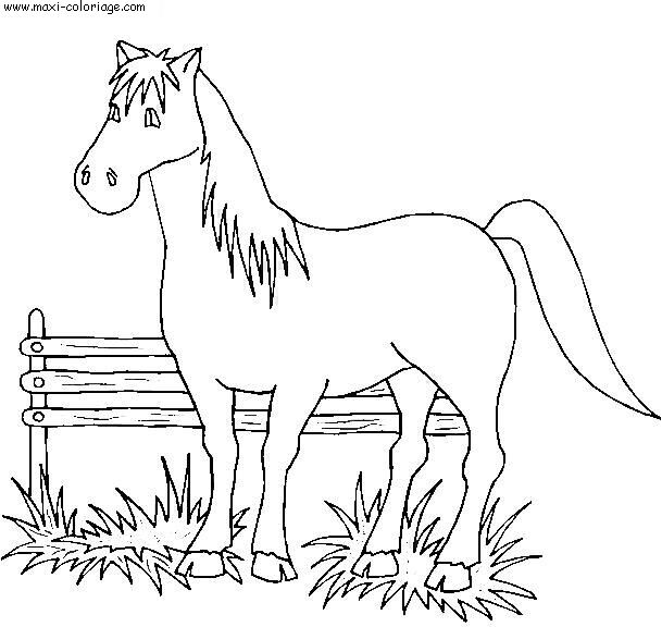 coloriage Chevaux