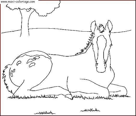 coloriage Chevaux