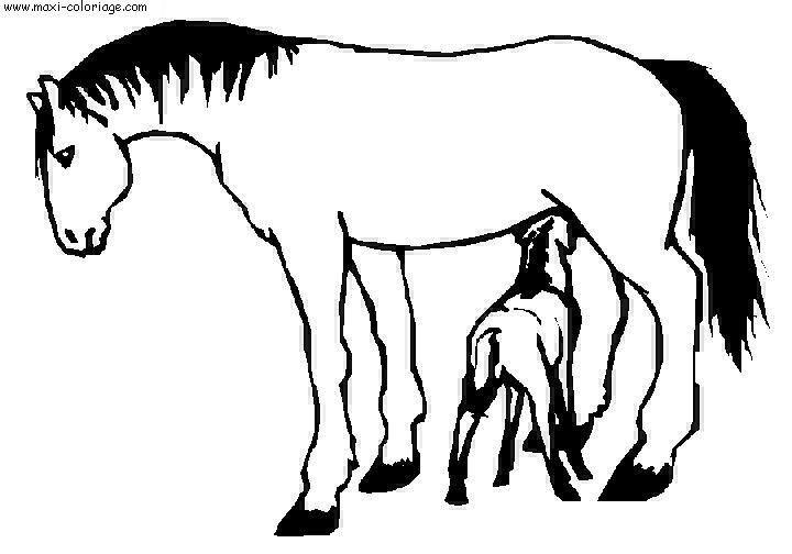 coloriage Chevaux