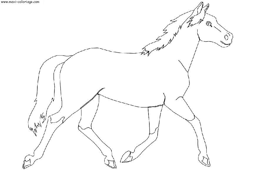 coloriage Chevaux