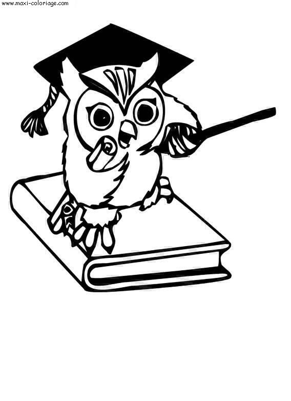 coloriage Chouettes