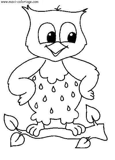 coloriage Chouettes