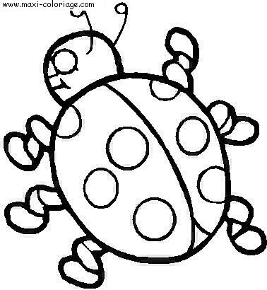 coloriage Coccinelles