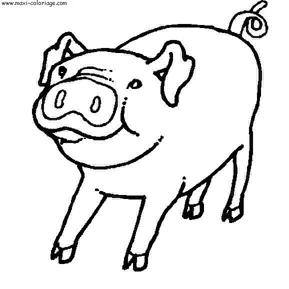 coloriage Cochons