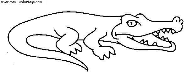 coloriage Crocodiles
