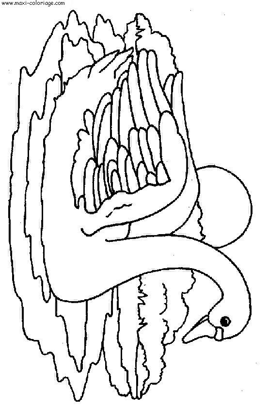 coloriage Cygnes