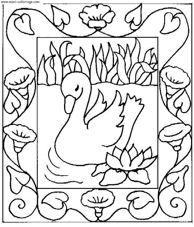 coloriage Cygnes