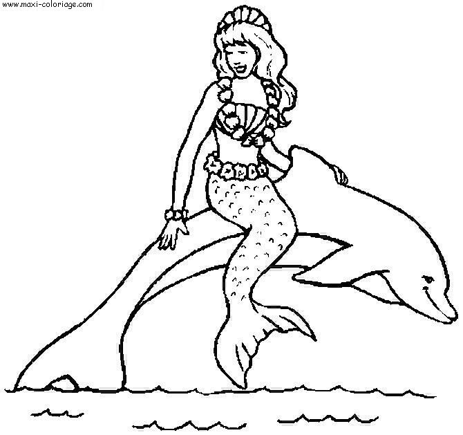 coloriage Dauphins