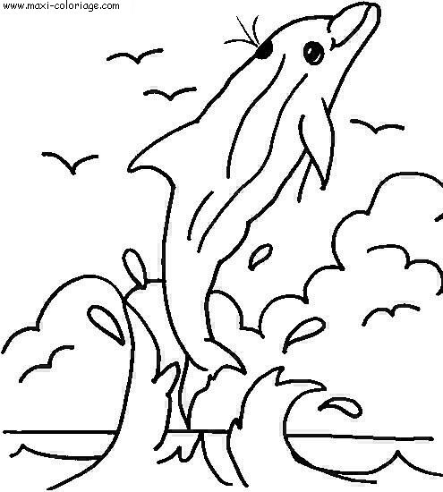 coloriage Dauphins