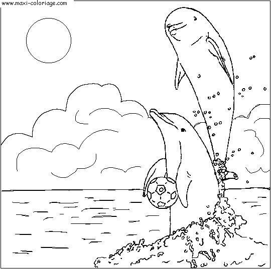 coloriage Dauphins