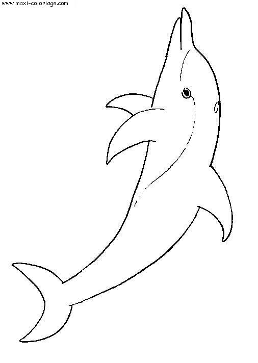 coloriage Dauphins