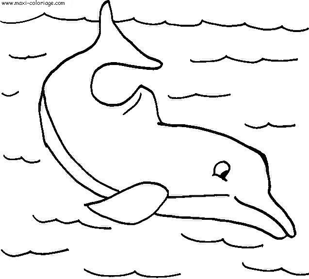 coloriage Dauphins