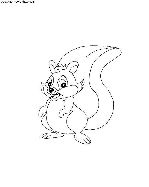 coloriage Ecureuils