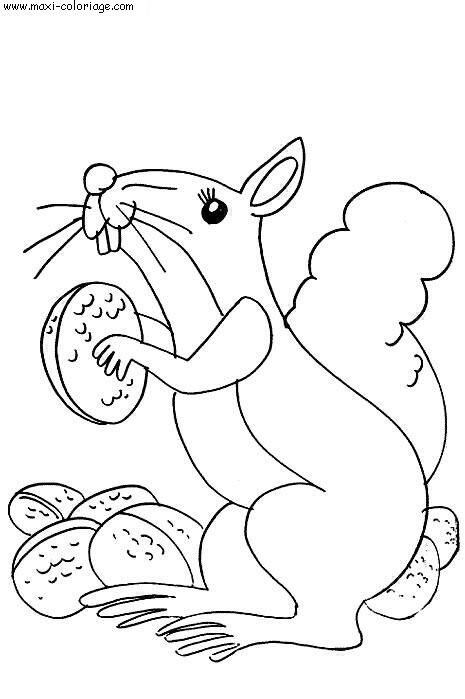 coloriage Ecureuils