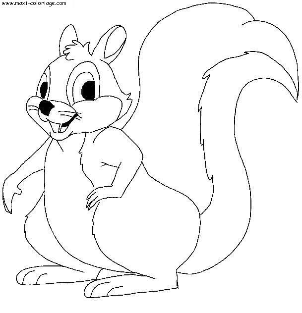 coloriage Ecureuils