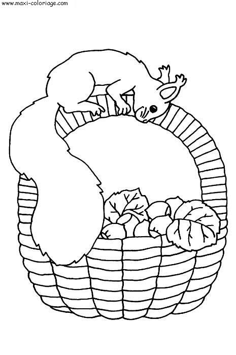 coloriage Ecureuils
