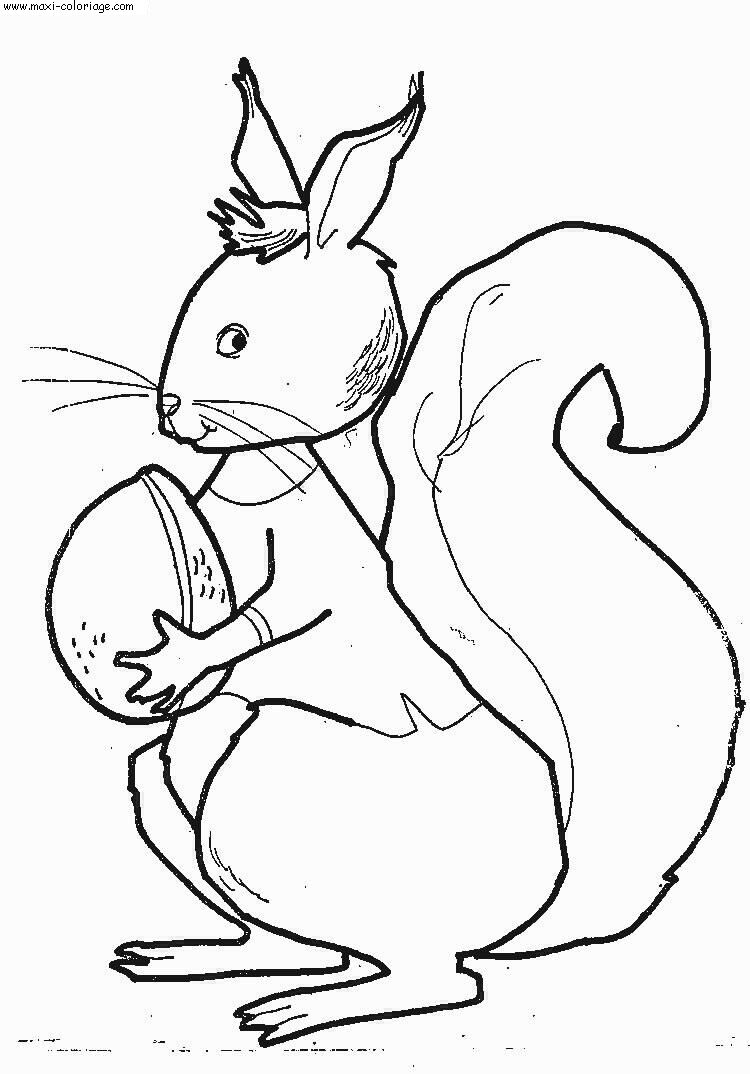 coloriage Ecureuils