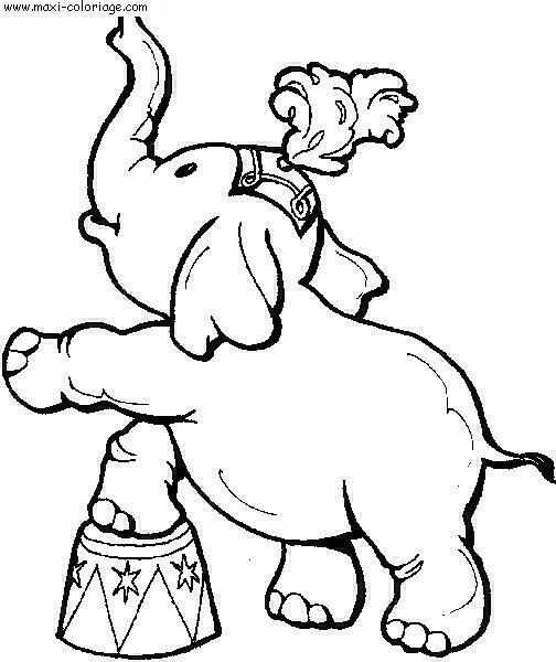 coloriage Elephants