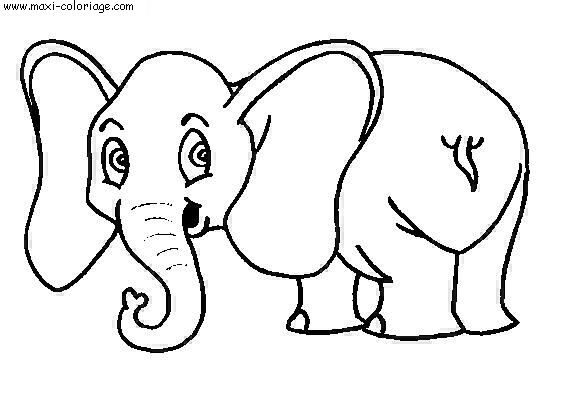 coloriage Elephants