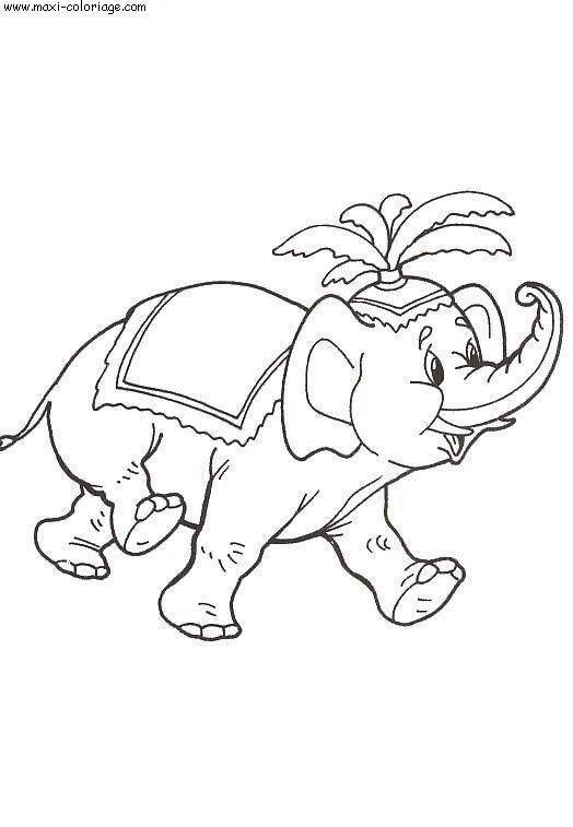 coloriage Elephants