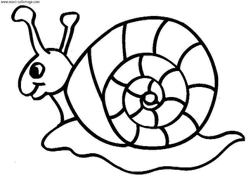 coloriage Escargots