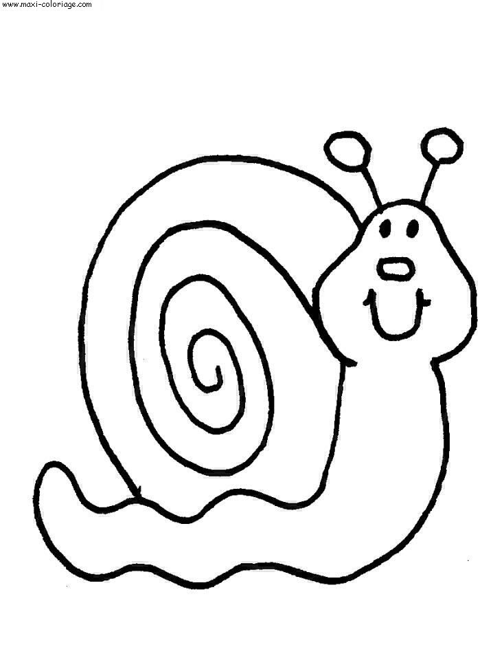 coloriage Escargots