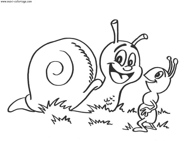 coloriage Escargots