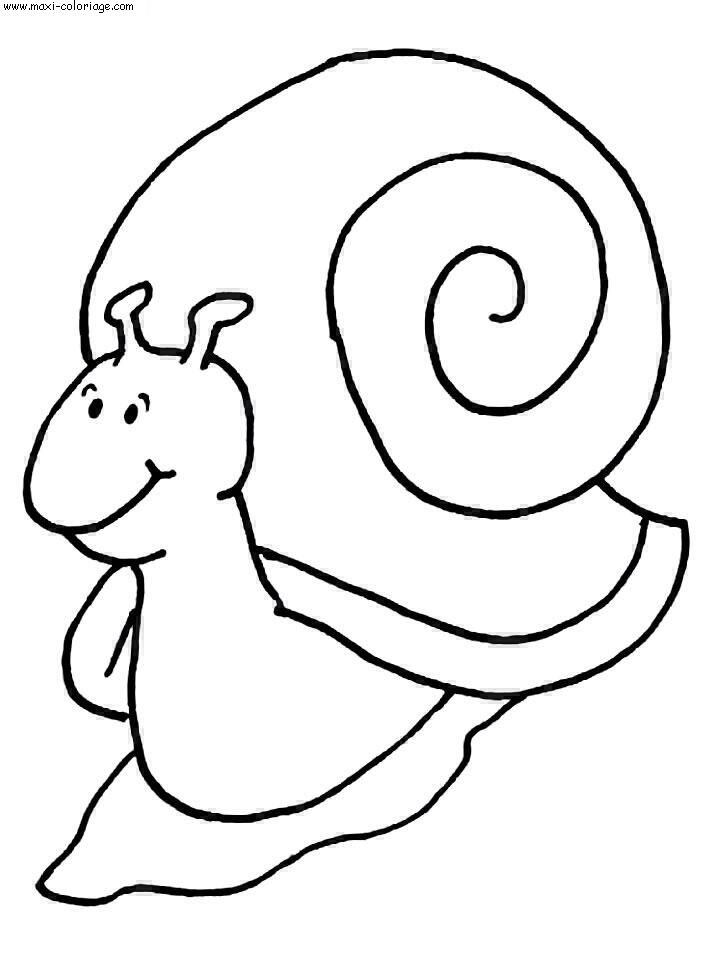 coloriage Escargots